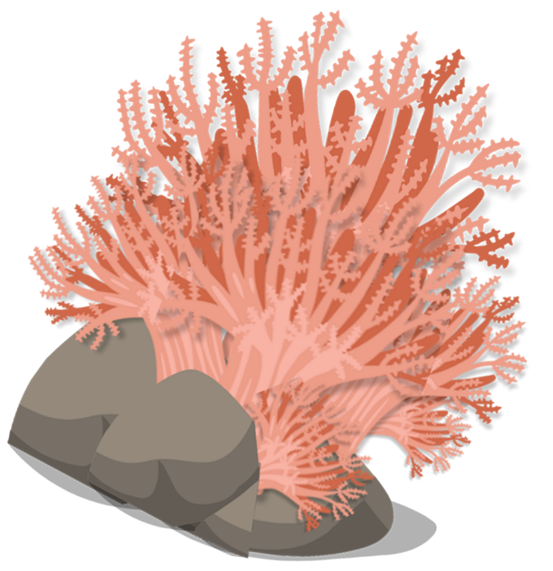 An artistic interpretation of the invasive pulse corals