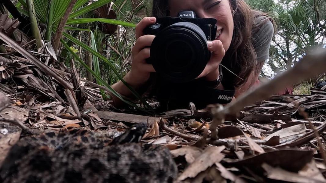 Jenna Palmisano photographing a pygmy rattlesnake